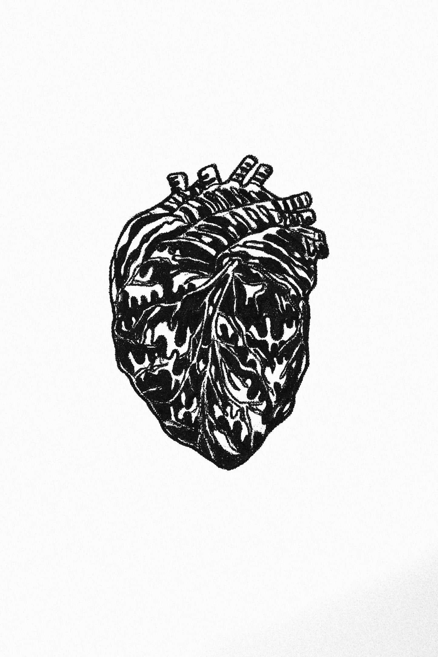 60& 100 (corazón africano)